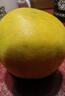 京地达柚子福建黄金葡萄柚西柚甜柚水果送礼净重4.5斤单果250g+源头直发 实拍图