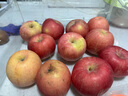 京鲜生山东烟台红富士苹果 5斤装单果75-80mm生鲜水果 源头直发 包邮 实拍图
