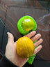 云南小众特产鸡蛋果蛋黄果云南老树狮头黄果新鲜水果放软吃-发财 带箱大果5斤100g起 实拍图