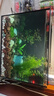 坤宁王鱼缸背滤一体缸自循环免换水超白玻璃家用小型缸造景生态缸40*30 实拍图