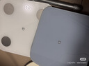 米家（MIJIA）小米智能体重秤S200 蓝色 双接家用健康秤电子秤 人物双模式 APP高精准数据测量 智能分析减肥专用 实拍图