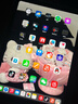 Apple/苹果 iPad11英寸 A16芯片2025年款 平板电脑 (256GB WLAN版/学习办公娱乐)粉色 实拍图