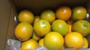 京鲜生 云南哀牢山冰糖橙/橙子 5斤装  单果100-130g 生鲜水果年货礼盒 实拍图