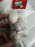 大蒜头出口品质网兜紫蒜蔬菜调料新鲜大果烧烤火锅食材 【精品网兜装】6头装 180g 实拍图