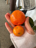 京鲜生 广西砂糖橘 净重4.5斤 单果35-45mm  生鲜礼盒 源头直发包邮 实拍图