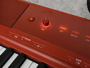 美得理（MEDELI）电钢琴SP-C120重锤88键配重便携重锤电子钢琴 红色琴头+黑脚架 实拍图