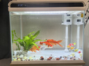 森森 超白玻璃智能桌面鱼缸一体缸自循环HE-480 实拍图
