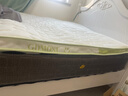 红蜻蜓（RED DRAGONFLY）乳胶床垫1.5米x2.0米记忆棉软垫家用卧室榻榻米垫子海绵租房专用 印花双拼-白绿【厚约6cm】 双人床-150x200cm【不易塌陷】 实拍图