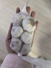 大蒜头出口品质网兜紫蒜蔬菜调料新鲜大果烧烤火锅食材 【精品网兜装】6头装 180g 实拍图