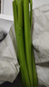 京鲜生山东新鲜大西芹净重4.5斤榨汁现挖芹菜鲜嫩蔬菜 去半叶源头直发 实拍图