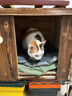 oein狗屋室外防腐木户外猫房子狗窝木质狗笼狗舍四季通用室内猫狗木屋 M中号**建议15斤以下狗狗猫咪宠物使用** 实木碳化屋+台阶 晒单实拍图