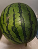 京鲜生 麒麟无籽西瓜 1粒装 净重5-7斤 生鲜水果 实拍图