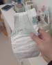 babycare金山茶花拉拉裤XXL30片(>15kg)婴儿尿不湿超薄透气新生柔花苞裤 实拍图