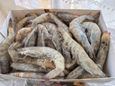 万景北海鲜冻国产白虾巨无霸 单冻无冰净重3斤/盒 30-45只  家庭聚餐 实拍图