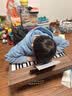 卡卡曼儿童钢琴电子琴小女孩生日礼物玩具1-3-6岁木质钢琴益智2岁6-12岁 37键蓝牙至尊版【充电彩盒款】 宝宝女儿幼儿一岁8周岁61六一儿童节礼物 实拍图