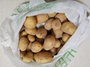 山东土豆新鲜现挖2025新土豆农家马铃薯黄皮黄心大包装健康即食 黄心土豆小果 9斤(净重) 实拍图