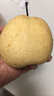 陕西酥梨当季新鲜梨子水果现货新鲜时令应季水果整箱 3.5斤精选装【脆甜多汁】净重3斤 新鲜 实拍图