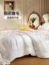 富安娜 舒暖纤维被 四季被子春秋被芯 双人加大盖被5.4斤 230*229cm 白 实拍图