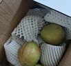 京鲜生 新疆特级库尔勒香梨 净重5斤单果120g以上 生鲜水果 实拍图
