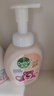 滴露（Dettol）泡沫洗手液西柚香型250ml 儿童泡沫丰润抑菌护手草莓熊限定版 实拍图