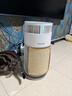 霍尼韦尔（Honeywell）宠物空气净化器吸猫毛除过敏源猫猫搭子 猫毛净化器杀菌消毒除异味KJ360F-C22W 实拍图