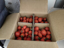 千禧圣女果新鲜小番茄樱桃小柿子孕妇水果现摘现发新鲜蔬菜 新鲜圣女果 5斤 带箱 实拍图