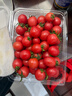 京鲜生广西千禧小番茄净果2斤 盒装 （单果6g+） 新鲜包邮 源头直发 实拍图
