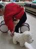 babycare&bct儿童毛绒玩具狗电子宠物哈基米玩偶节日生日圣诞礼物西高地犬 实拍图