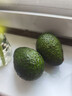 京鲜生云南哈斯牛油果 超大果2粒装 单果200g起 生鲜水果 源头直发包邮 实拍图