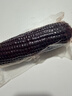 东北甜糯玉米黄糯白糯黑糯 单棒均重＞250g 新采年货真空包装 黑糯玉米8棒   均重＞250g 实拍图