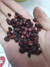 信盛堂特级长白山野生五味子中药材粒大饱满北五味子泡茶泡酒中药材养生 长白山野生北五味子 250g*1罐 实拍图
