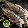 天纵良材进口巨型黑虎虾 活冻大虾老虎虾斑节虾对虾 年货礼品 生鲜海虾 特大24-30只 2.6斤(净重)  18-20CM 实拍图