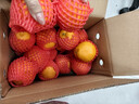 京鲜生 耙耙柑 净重5斤装 单果150g起 生鲜柑橘桔子水果年货礼盒  实拍图