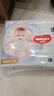 好奇（Huggies）金装纸尿裤婴儿超薄尿不湿新生儿尿裤柔软透气 【纸尿裤】XL32片+5片(12-17kg) 实拍图