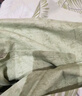 水星家纺 四件套纯棉100%全棉套件居家学生宿舍床单田园花卉风 北欧叶青颜【柔软全棉/清新自然】 40支 床单款 （被套220*240cm） 实拍图