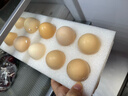 土鸡蛋农家散养新鲜柴鸡蛋孕妇笨鸡蛋40-50g正宗草鸡蛋谷物蛋整箱 10枚400g 实拍图