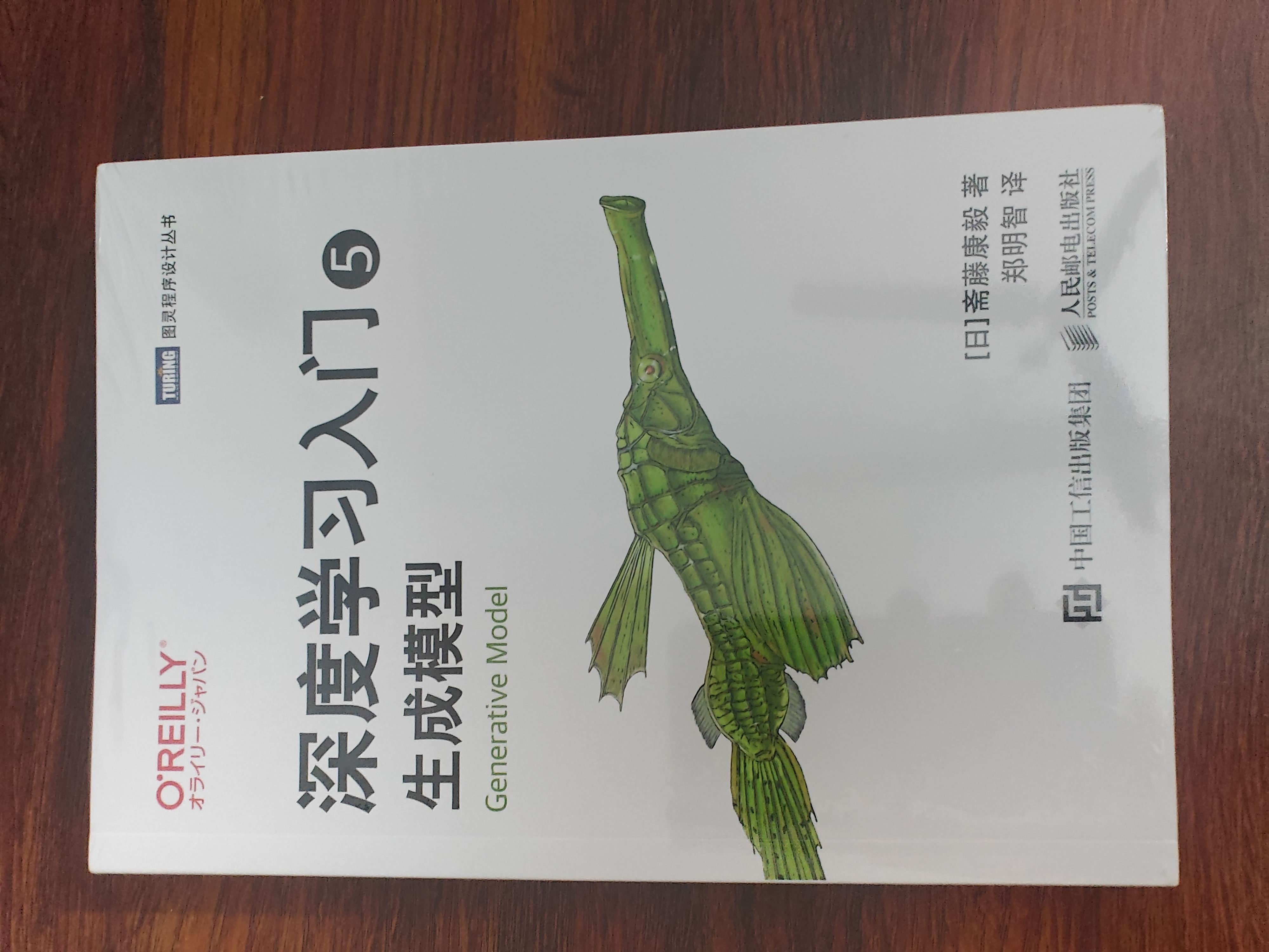 深度学习入门5：生成模型 大模型应用开发 SD模型扩散模型深度学习机器学习神经网络 图灵出品 实拍图