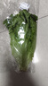 云南鲜生菜约400g 实拍图