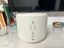 olayks立时 迷你电饭煲家用2-3人  陶瓷釉内胆煮饭锅多功能不粘锅煮粥汤智能柴火饭锅OLK-20C 实拍图