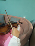 红棉（Kapok）手工实木小提琴入门练习学生儿童成人通用初学者考级NS-30 3/4 实拍图