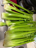 京鲜生 西芹 750g 简装 新鲜蔬菜 精选 实拍图