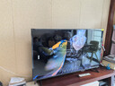 TCL雷鸟电视经济款 55英寸雀4 144Hz高刷 2+32GB 自定义遥控器 家电国家补贴电视55F270C-JN 实拍图