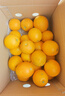 京鲜生 云南哀牢山冰糖橙/橙子 9斤装 单果170-260g 生鲜水果年货礼盒 实拍图