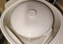九阳（Joyoung）电炖盅 电炖锅 隔水炖煮 家用煮粥煲汤锅燕窝炖盅4.5L白瓷内胆炖汤锅上蒸下炖DG25G-GD188 实拍图
