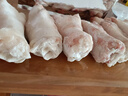带筋纯前蹄 现杀土猪蹄整只新鲜散养农家带筋猪蹄子猪手猪蹄切块 纯前蹄整个带筋6斤装 实拍图
