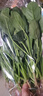 大菠菜300g 实拍图