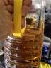 鲁花 【保真菜籽油】食用油 低芥酸特香菜籽油 6.18L   物理压榨 实拍图