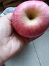 甜醉了 烟台苹果栖霞红富士新鲜水果生鲜山东特产脆甜整箱平果礼盒礼品 净重5斤75-80mm 实拍图