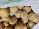 山东土豆新鲜现挖2025新土豆农家马铃薯黄皮黄心大包装健康即食 黄心土豆小果 9斤(净重) 实拍图