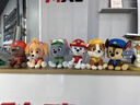汪汪队立大功（PAW PATROL）毛绒玩具狗狗陪睡玩偶经典款小号坐姿可爱公仔男女孩生日礼物 实拍图